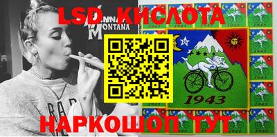2c-b Кингисепп