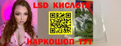 2c-b Кингисепп