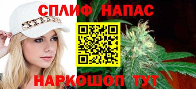 2c-b Кингисепп